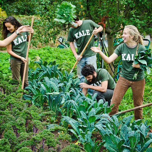 Students volunteer at the Yale Sustainable Food Project on Yale's teaching farm, one of many service opportunities available on campus and in the larger community.